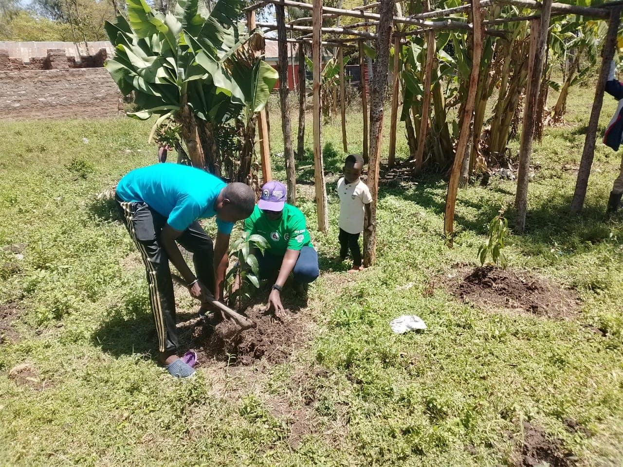 Environmental Conservation